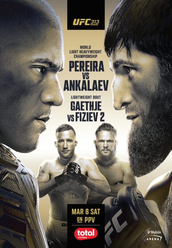 ufc 313 poster